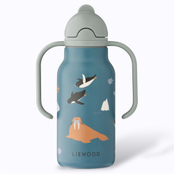 Gourde KIMMIE 250 ml Arctic...