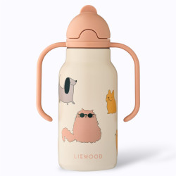 Gourde KIMMIE 250 ml Cats...