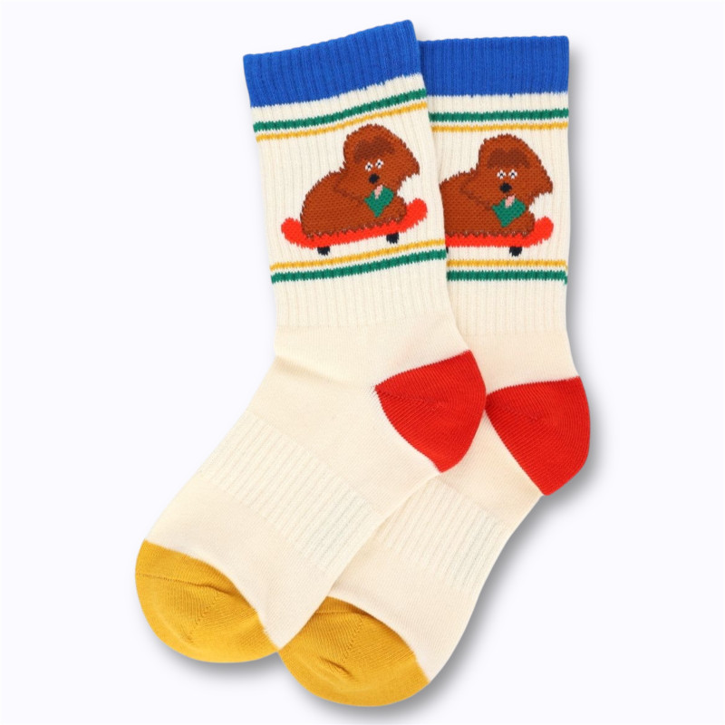 Chaussettes chien skate