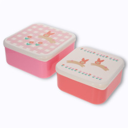 Lot de 2 boîtes à goûter...