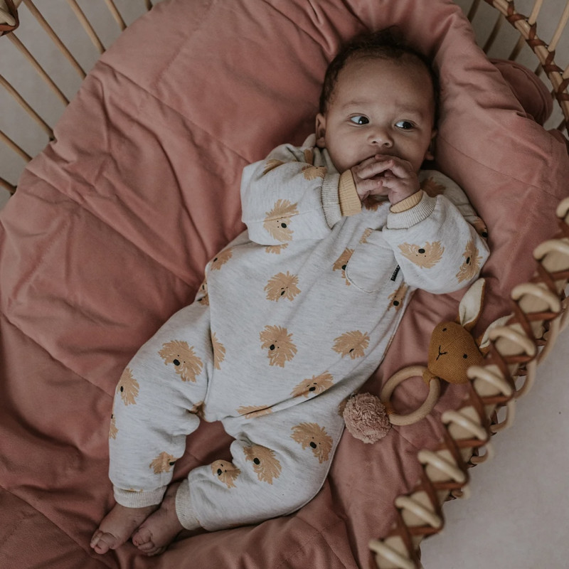 Grenouillère bébé imprimé chien