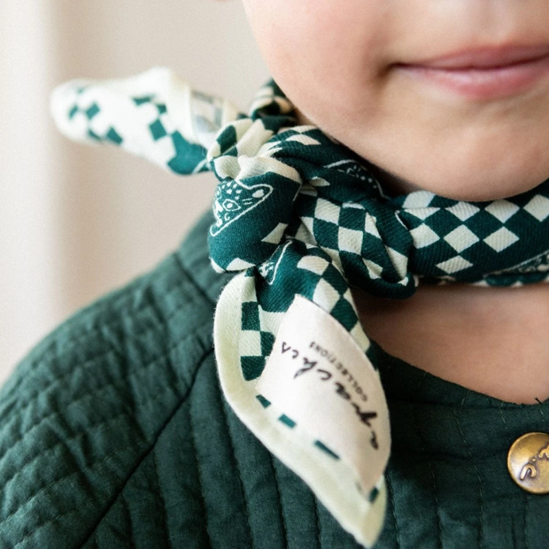 Small Foulard Manika Tigro Apaches coton biologique imprimé à la main