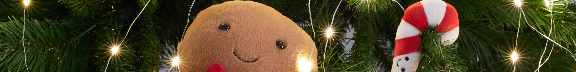 Grands plaisirs | Les Ricamouches